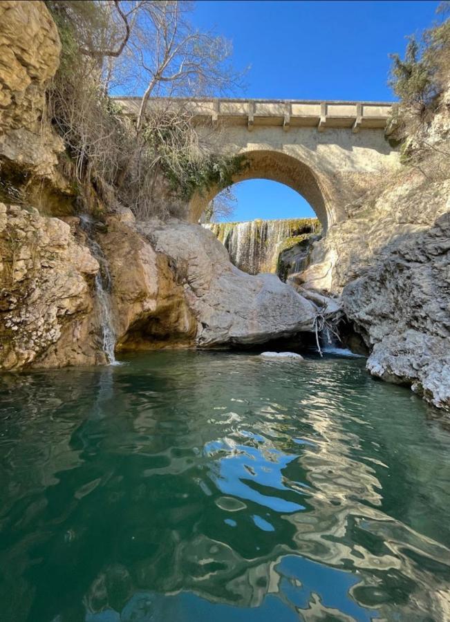 Sous Les Etoiles En Provence, Gite Les Bambous Lurs Eksteriør billede